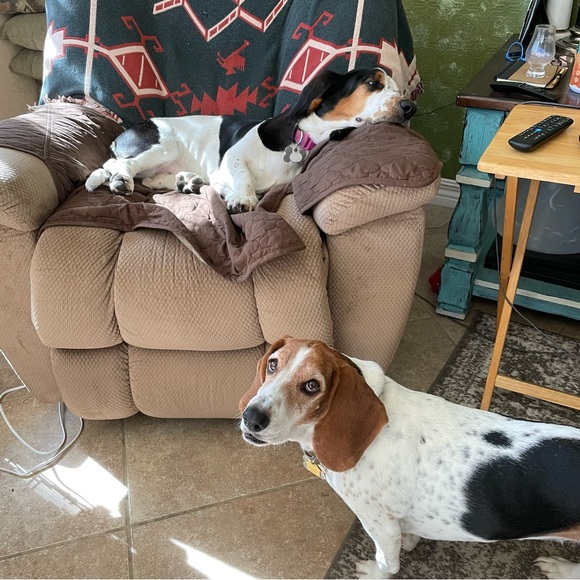 Hello friends! - Picture 15 of 16